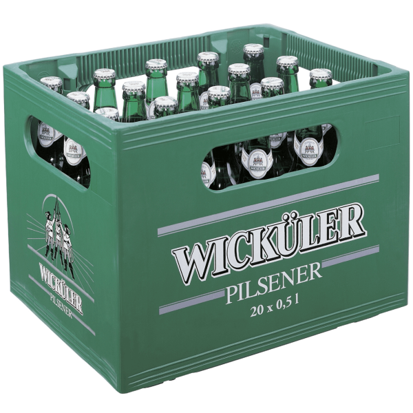 Bild von Edelh.ext.pr.pilsner20x0,5l Mw